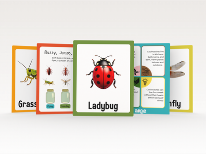 World of Insects