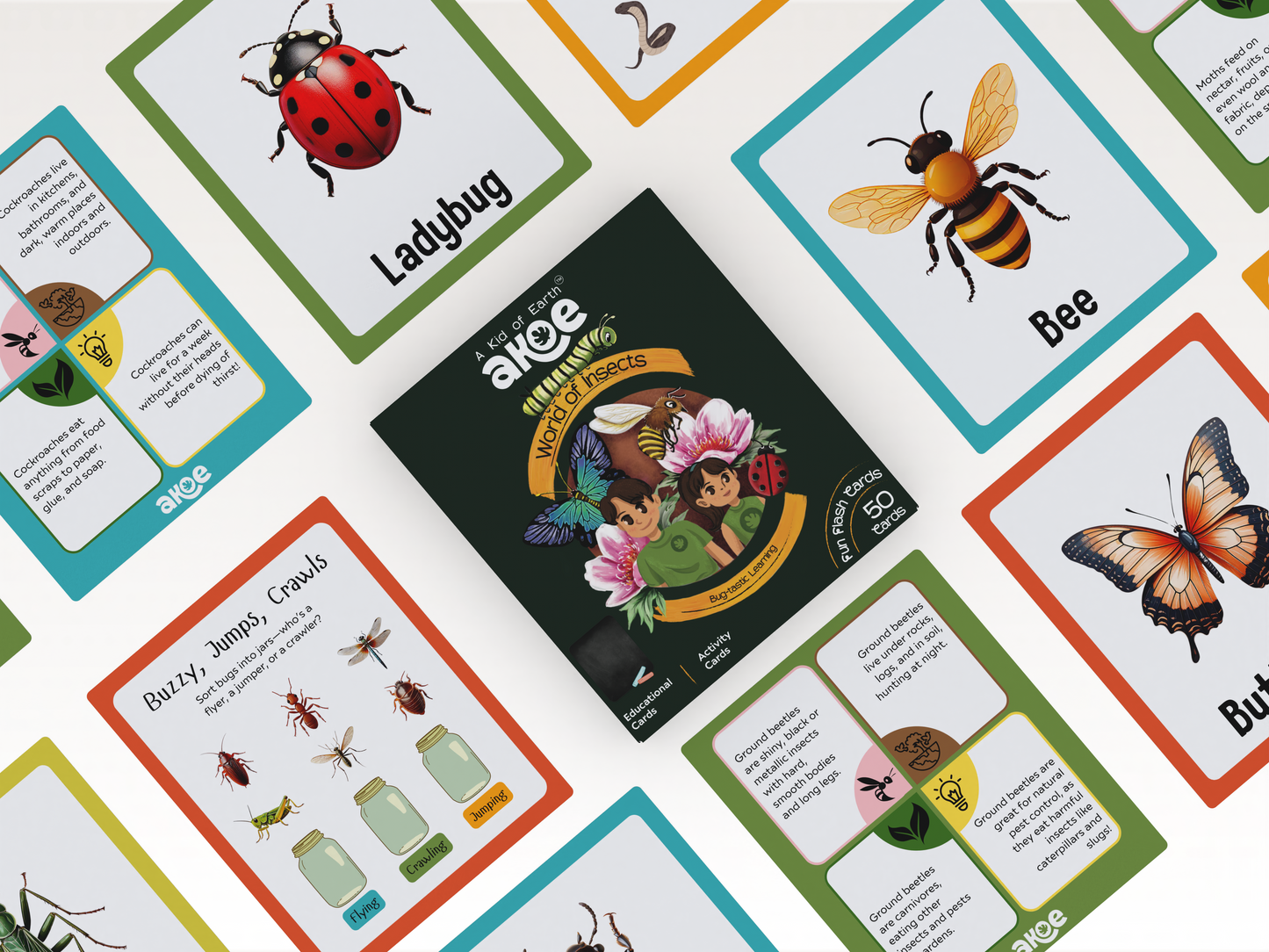 World of Insects